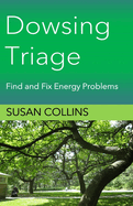 Dowsing Triage: Find and Fix Energy Problems