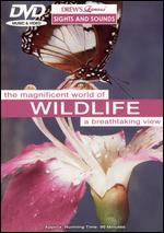 Drew's Famous Sights & Sounds: Wildlife - 