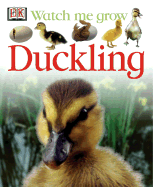 Duckling - Magloff, Lisa, and DK Publishing, and DK
