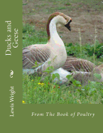 Ducks and Geese: From The Book of Poultry