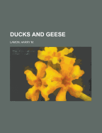 Ducks and Geese