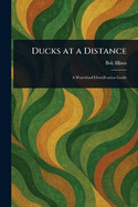 Ducks at a Distance