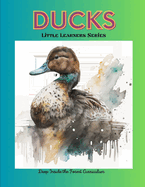 Ducks - Little Learners Series: Deep Inside the Forest Curriculum