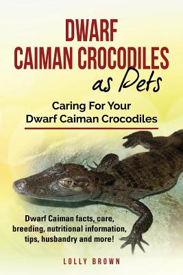 Dwarf Caiman Crocodiles as Pets: Dwarf Caiman facts, care, breeding, nutritional information, tips, husbandry and more! Caring For Your Dwarf Caiman Crocodiles - Brown, Lolly