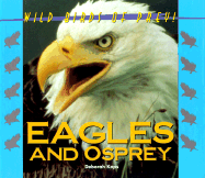 Eagles & Osprey