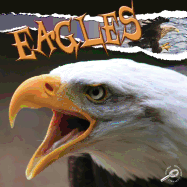 Eagles