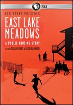 East Lake Meadows: A Public Housing Story - David McMahon; Sarah Burns