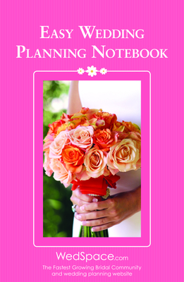 Easy Wedding Planning Notebook - Lluch, Alex A