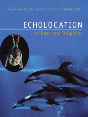 Echolocation in Bats and Dolphins - Thomas, Jeanette A (Editor), and Moss, Cynthia F (Editor), and Vater, Marianne (Editor)