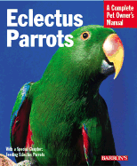 Eclectus Parrots: Everything about Purchase, Care, Feeding, and Housing