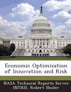Economic Optimization of Innovation and Risk