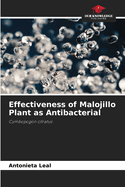 Effectiveness of Malojillo Plant as Antibacterial