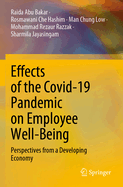 Effects of the Covid-19 Pandemic on Employee Well-Being: Perspectives from a Developing Economy