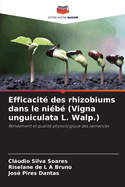 Efficacit des rhizobiums dans le nib (Vigna unguiculata L. Walp.)