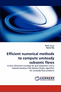Efficient Numerical Methods to Compute Unsteady Subsonic Flows