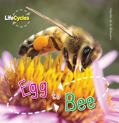 Egg to Bee - De La Bedoyere, Camilla