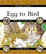 Egg to Bird
