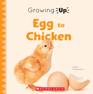 Egg to Chicken (Growing Up) (Library Edition)