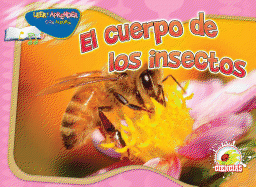 El Cuerpo de Los Insectos: Insect's Body