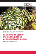 El cultivo de agave mexicano para la produccin de mezcal