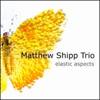 Elastic Aspects - Matthew Shipp Trio