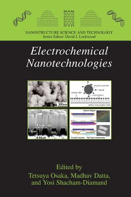 Electrochemical Nanotechnologies - Osaka, Tetsuya (Editor), and Datta, Madhav (Editor), and Shacham-Diamand, Yosi (Editor)
