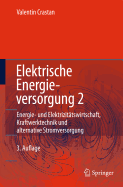 Elektrische Energieversorgung 2: Energiewirtschaft Und Klimaschutz Elektrizitatswirtschaft, Liberalisierung Kraftwerktechnik Und Alternative Stromversorgung, Chemische Energiespeicherung