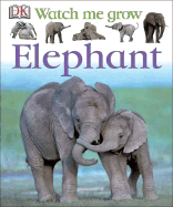 Elephant - Magloff, Lisa