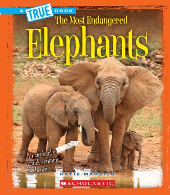 Elephants (a True Book: The Most Endangered) - Marsico, Katie