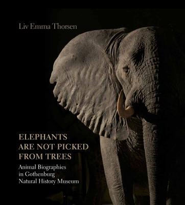 'Elephants Are Not Picked from Trees': Animal Biographies in the Gothenburg Museum of Natural History - Thorsen, LIV Emma