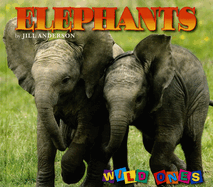 Elephants