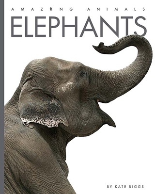 Elephants - Riggs, Kate