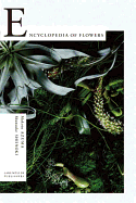 Encyclopedia of Flowers: Flower Works by Makoto Azuma Photographed by Shunsuke Shiinoki