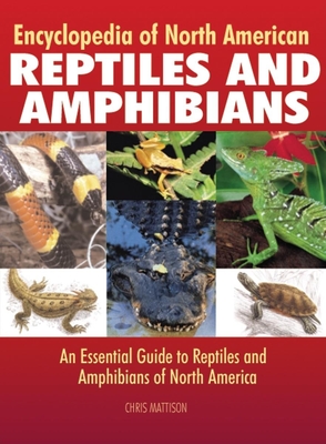 Encyclopedia of North American Reptiles and Amphibians: An Essential Guide to Reptiles and Amphibians of North America - Mattison, Chris