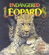 Endangered Leopards