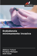 Endodonzia minimamente invasiva