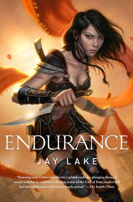Endurance - Lake, Jay