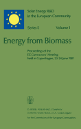 Energy from Biomass: Proceedings of the EC Contractors' Meeting Held in Copenhagen, 23-24 June 1981