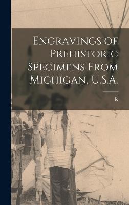 Engravings of Prehistoric Specimens From Michigan, U.S.A. - Etzenhouser, R B 1856