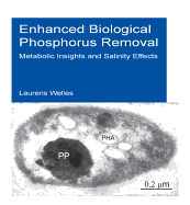 Enhanced Biological Phosphorus Removal: Metabolic Insights and Salinity Effects