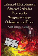 Enhanced Electrochemical Advanced Oxidation Processes for Wastewater Sludge Stabilization & Reuse