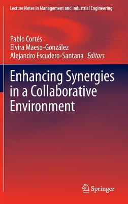 Enhancing Synergies in a Collaborative Environment - Corts, Pablo (Editor), and Maeso-Gonzlez, Elvira (Editor), and Escudero-Santana, Alejandro (Editor)