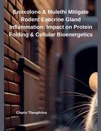Enoxolone & Mulethi Mitigate Rodent Exocrine Gland Inflammation: Impact on Protein Folding & Cellular Bioenergetics