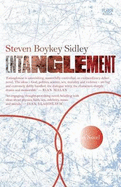 Entanglement: A Novel