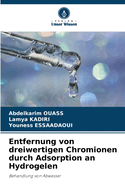 Entfernung von dreiwertigen Chromionen durch Adsorption an Hydrogelen