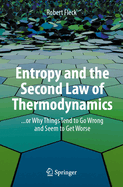 Entropy and the Second Law of Thermodynamics: ... or Why Things Tend to Go Wrong and Seem to Get Worse