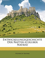 Entwickelungsgeschichte Der Natter (Coluber Natrix)