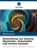 Entwicklung von Gesicht, Oberkiefer, Unterkiefer und hartem Gaumen