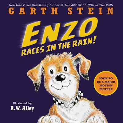 Enzo Races in the Rain! - Stein, Garth