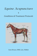 Equine Acupuncture - Conditions & Treatment Protocols